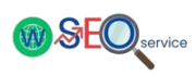 Website SEO Service Provider Site Logo