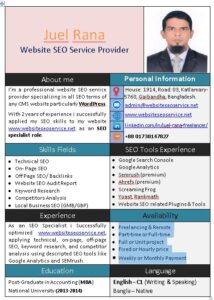 About website SEO service provider's resume